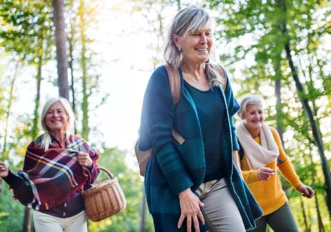 Os Benefícios da Caminhada para Quem tem Diabetes